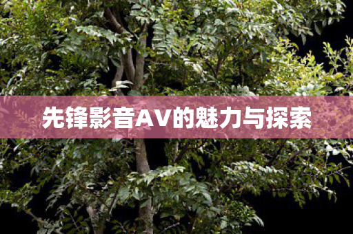 先锋影音AV的魅力与探索 先锋影音AV的魅力与探索
