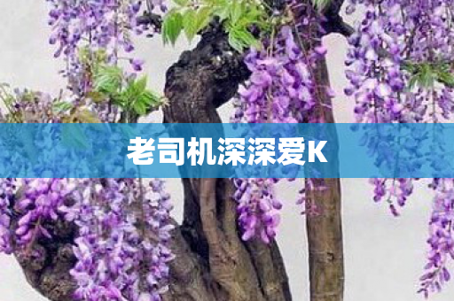 老司机深深爱K 老司机深深爱K