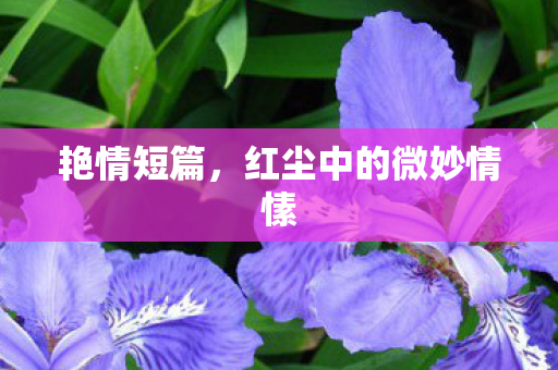 艳情短篇,红尘中的微妙情愫 艳情短篇,红尘中的微妙情愫