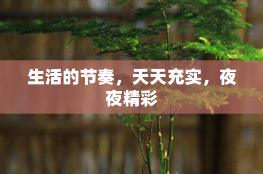 生活的节奏,天天充实,夜夜精彩 生活的节奏,天天充实,夜夜精彩