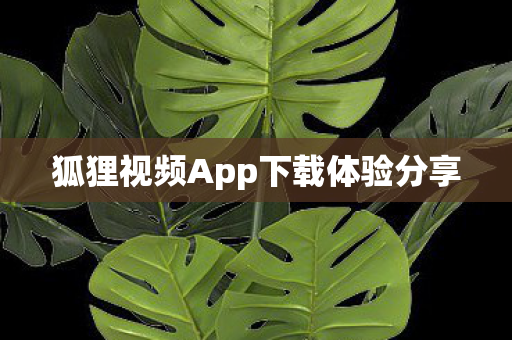 狐狸视频App下载体验分享 狐狸视频App下载体验分享