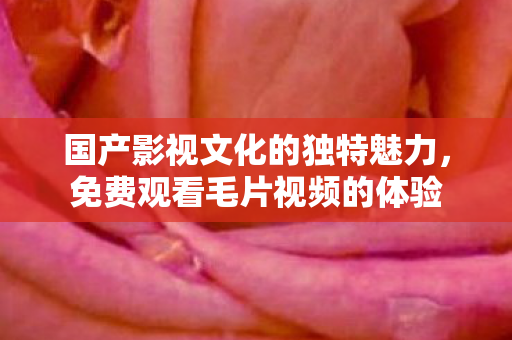 国产影视文化的独特魅力,免费观看毛片视频的体验 国产影视文化的独特魅力,免费观看毛片视频的体验