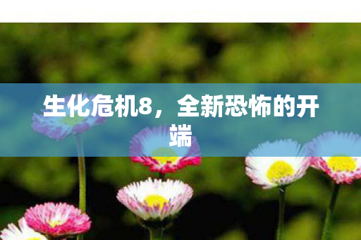 生化危机8,全新恐怖的开端 生化危机8,全新恐怖的开端