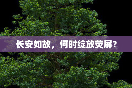 长安如故,何时绽放荧屏? 长安如故,何时绽放荧屏?