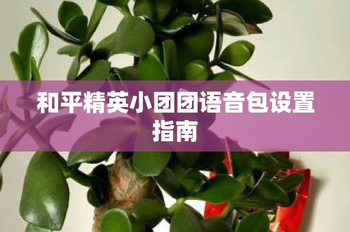 和平精英小团团语音包设置指南 和平精英小团团语音包设置指南