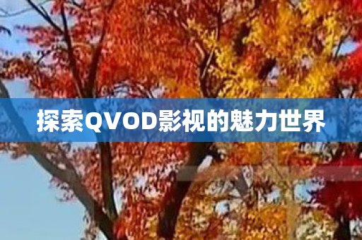 探索QVOD影视的魅力世界 探索QVOD影视的魅力世界