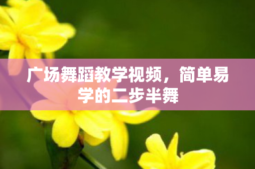 广场舞蹈教学视频,简单易学的二步半舞 广场舞蹈教学视频,简单易学的二步半舞