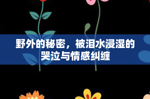 野外的秘密,被泪水浸湿的哭泣与情感纠缠 野外的秘密,被泪水浸湿的哭泣与情感纠缠