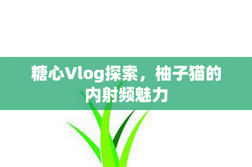 糖心Vlog探索,柚子猫的内射频魅力 糖心Vlog探索,柚子猫的内射频魅力