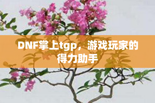 DNF掌上tgp,游戏玩家的得力助手 DNF掌上tgp,游戏玩家的得力助手