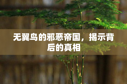 无翼鸟的邪恶帝国,揭示背后的真相 无翼鸟的邪恶帝国,揭示背后的真相