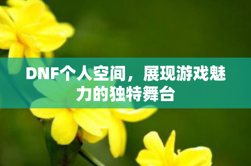 DNF个人空间,展现游戏魅力的独特舞台 DNF个人空间,展现游戏魅力的独特舞台