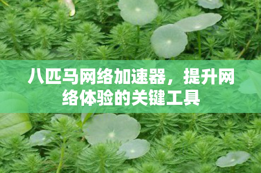 八匹马网络加速器,提升网络体验的关键工具 八匹马网络加速器,提升网络体验的关键工具
