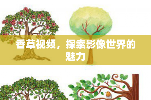 香草视频,探索影像世界的魅力 香草视频,探索影像世界的魅力