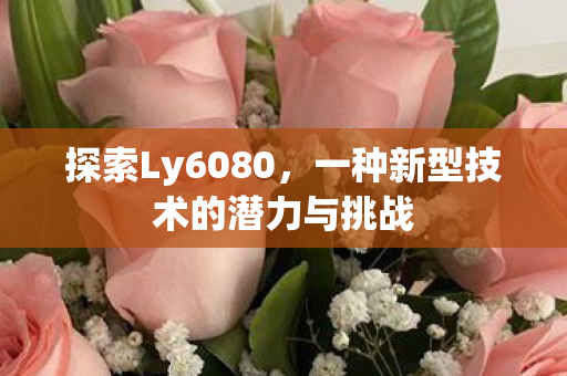 探索Ly6080,一种新型技术的潜力与挑战 探索Ly6080,一种新型技术的潜力与挑战