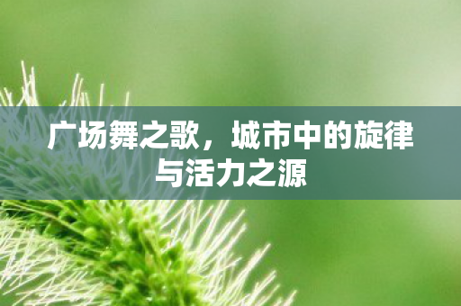 广场舞之歌,城市中的旋律与活力之源 广场舞之歌,城市中的旋律与活力之源
