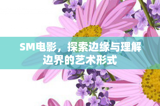 SM电影,探索边缘与理解边界的艺术形式 SM电影,探索边缘与理解边界的艺术形式