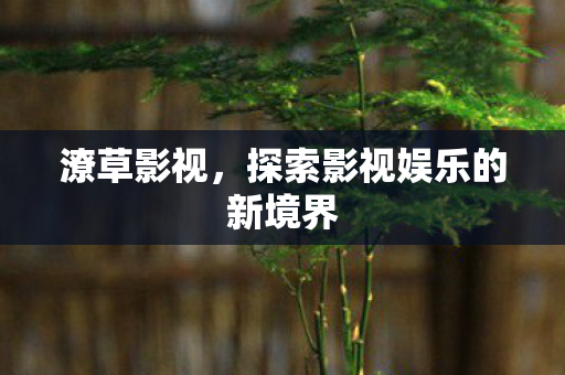 潦草影视,探索影视娱乐的新境界 潦草影视,探索影视娱乐的新境界