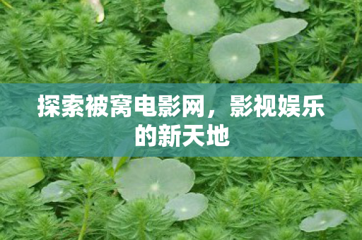 探索被窝电影网，影视娱乐的新天地