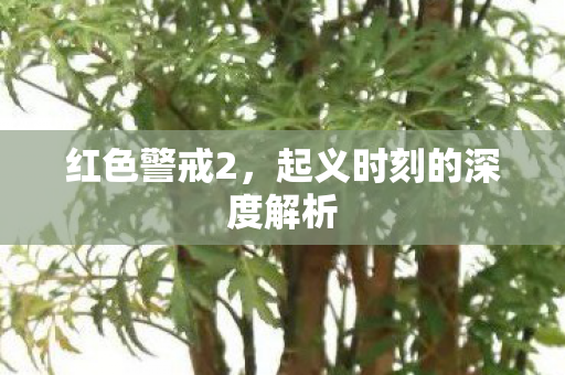 红色警戒2,起义时刻的深度解析 红色警戒2,起义时刻的深度解析