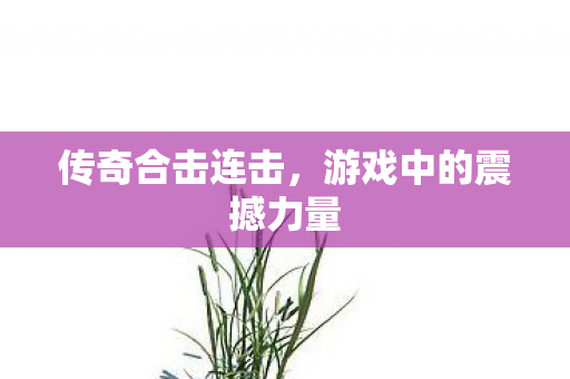传奇合击连击,游戏中的震撼力量 传奇合击连击,游戏中的震撼力量