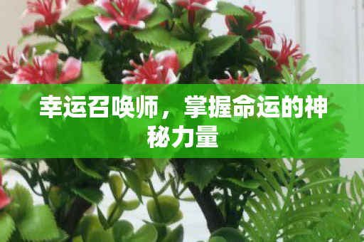 幸运召唤师,掌握命运的神秘力量 幸运召唤师,掌握命运的神秘力量