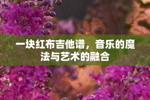 一块红布吉他谱,音乐的魔法与艺术的融合 一块红布吉他谱,音乐的魔法与艺术的融合