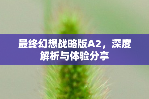最终幻想战略版A2,深度解析与体验分享 最终幻想战略版A2,深度解析与体验分享