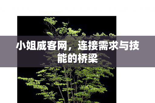 小姐威客网,连接需求与技能的桥梁 小姐威客网,连接需求与技能的桥梁