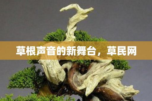 草根声音的新舞台，草民网