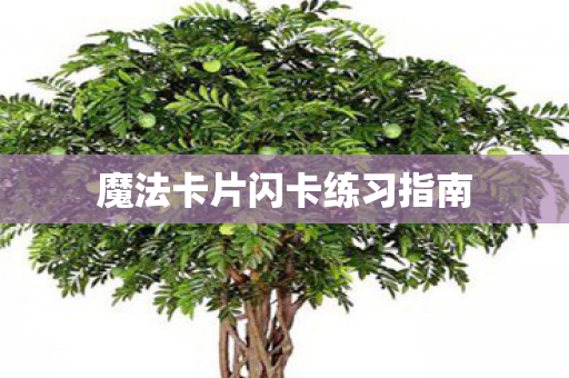 魔法卡片闪卡练习指南 魔法卡片闪卡练习指南