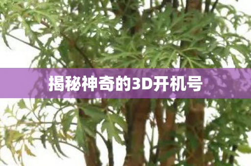 揭秘神奇的3D开机号 揭秘神奇的3D开机号