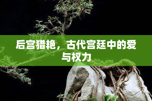 后宫猎艳,古代宫廷中的爱与权力 后宫猎艳,古代宫廷中的爱与权力