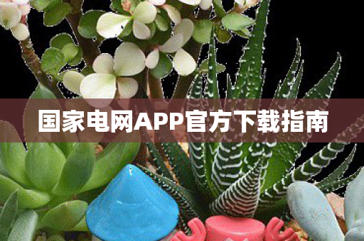 国家电网APP官方下载指南 国家电网APP官方下载指南