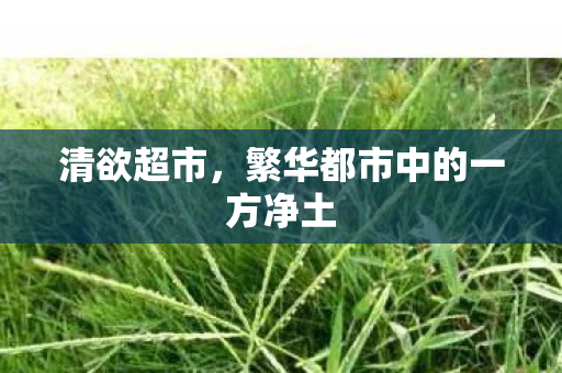 清欲超市,繁华都市中的一方净土 清欲超市,繁华都市中的一方净土