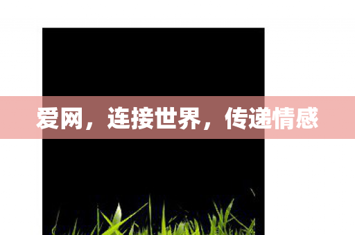爱网,连接世界,传递情感 爱网,连接世界,传递情感