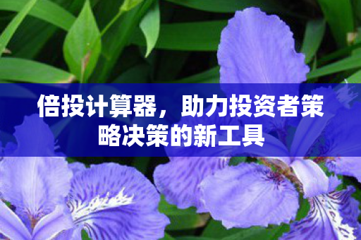 倍投计算器,助力投资者策略决策的新工具 倍投计算器,助力投资者策略决策的新工具
