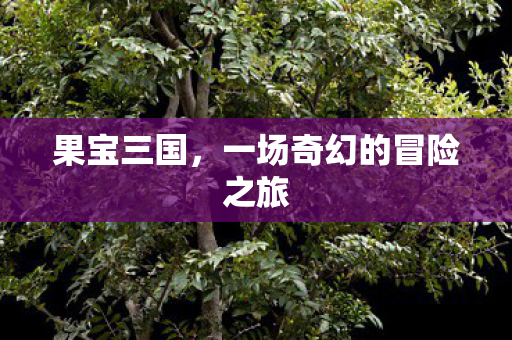 果宝三国,一场奇幻的冒险之旅 果宝三国,一场奇幻的冒险之旅