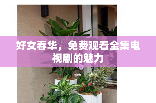 好女春华,免费观看全集电视剧的魅力 好女春华,免费观看全集电视剧的魅力