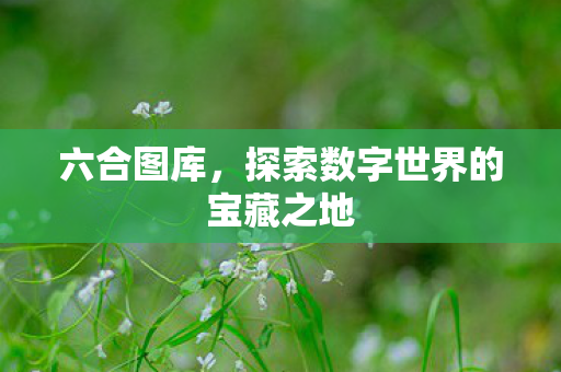 六合图库,探索数字世界的宝藏之地 六合图库,探索数字世界的宝藏之地