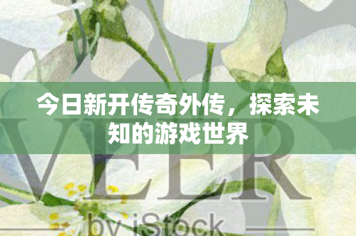 今日新开传奇外传,探索未知的游戏世界 今日新开传奇外传,探索未知的游戏世界