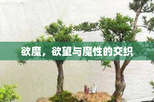 欲魔,欲望与魔性的交织 欲魔,欲望与魔性的交织