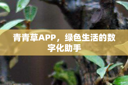 青青草APP,绿色生活的数字化助手 青青草APP,绿色生活的数字化助手