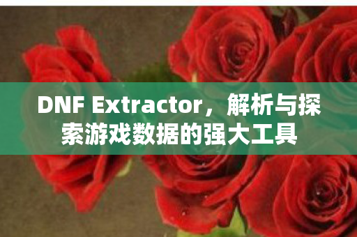 DNF Extractor,解析与探索游戏数据的强大工具 DNF Extractor,解析与探索游戏数据的强大工具