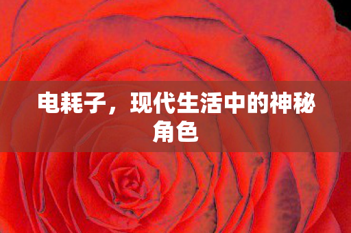 电耗子，现代生活中的神秘角色