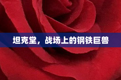 坦克堂，战场上的钢铁巨兽