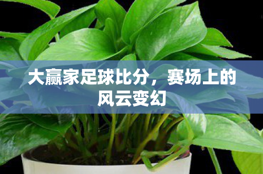 大赢家足球比分,赛场上的风云变幻 大赢家足球比分,赛场上的风云变幻