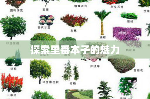 探索里番本子的魅力 探索里番本子的魅力