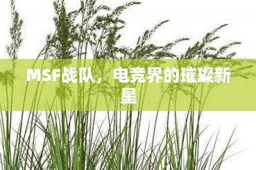 MSF战队,电竞界的璀璨新星 MSF战队,电竞界的璀璨新星