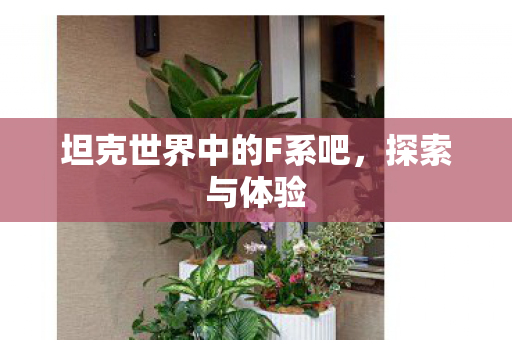 坦克世界中的F系吧，探索与体验